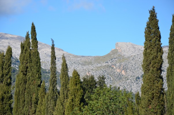 Cyprus mountains